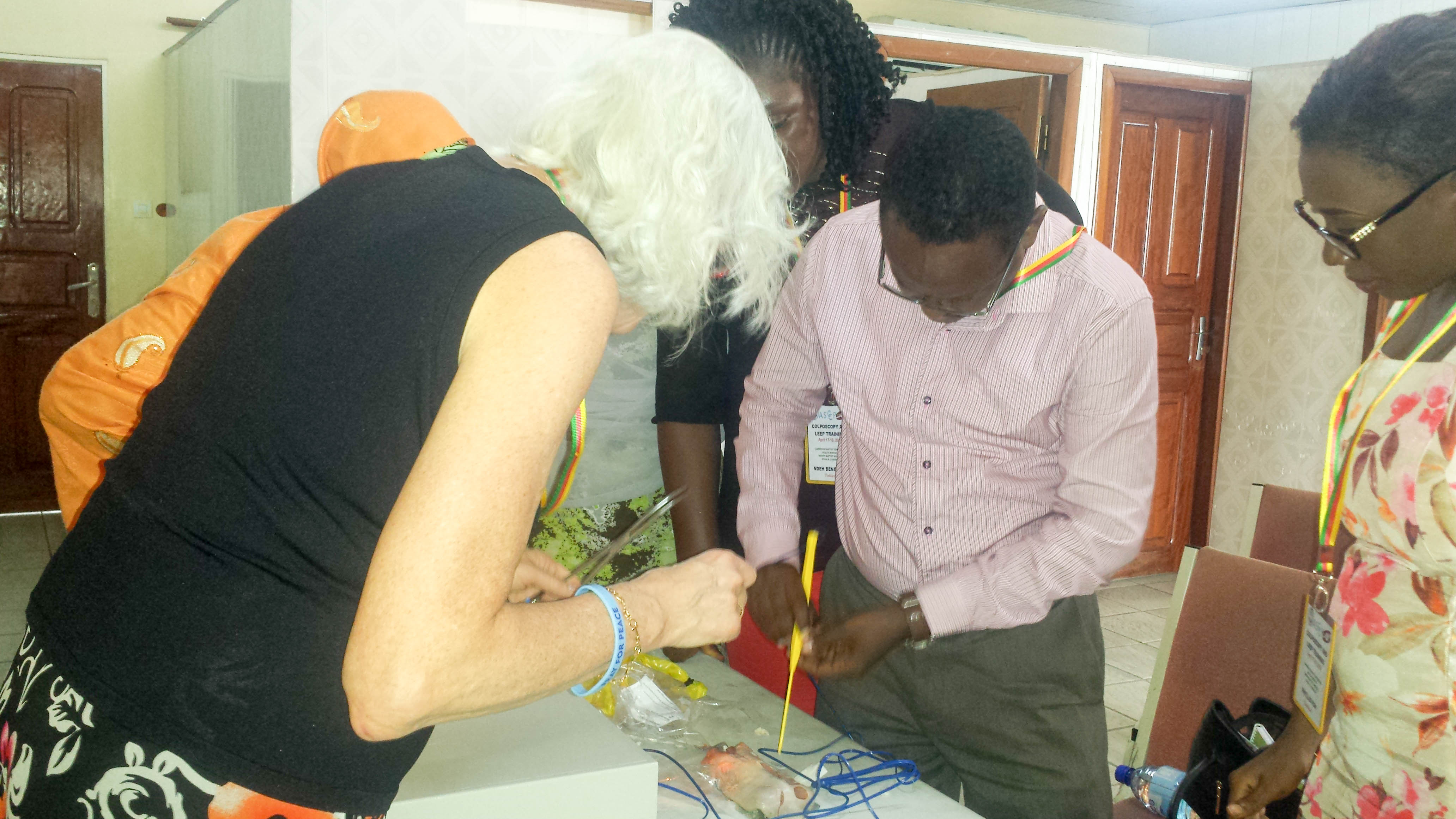 Trainees Diilled on the LEEP Technigue used during Cervical Cancer Screening