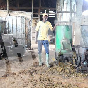 The oil mill in Nyamboy
