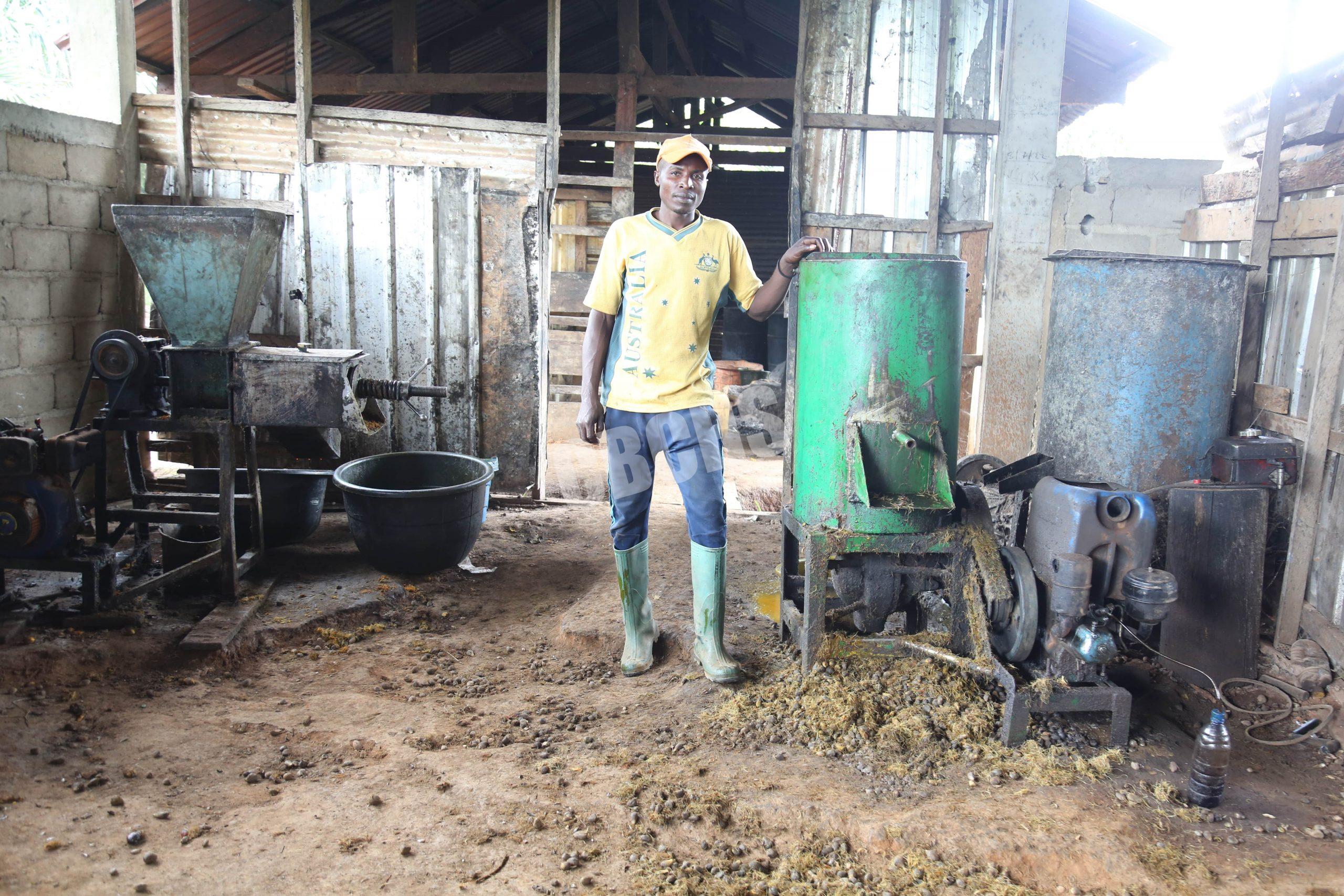 The oil mill in Nyamboy