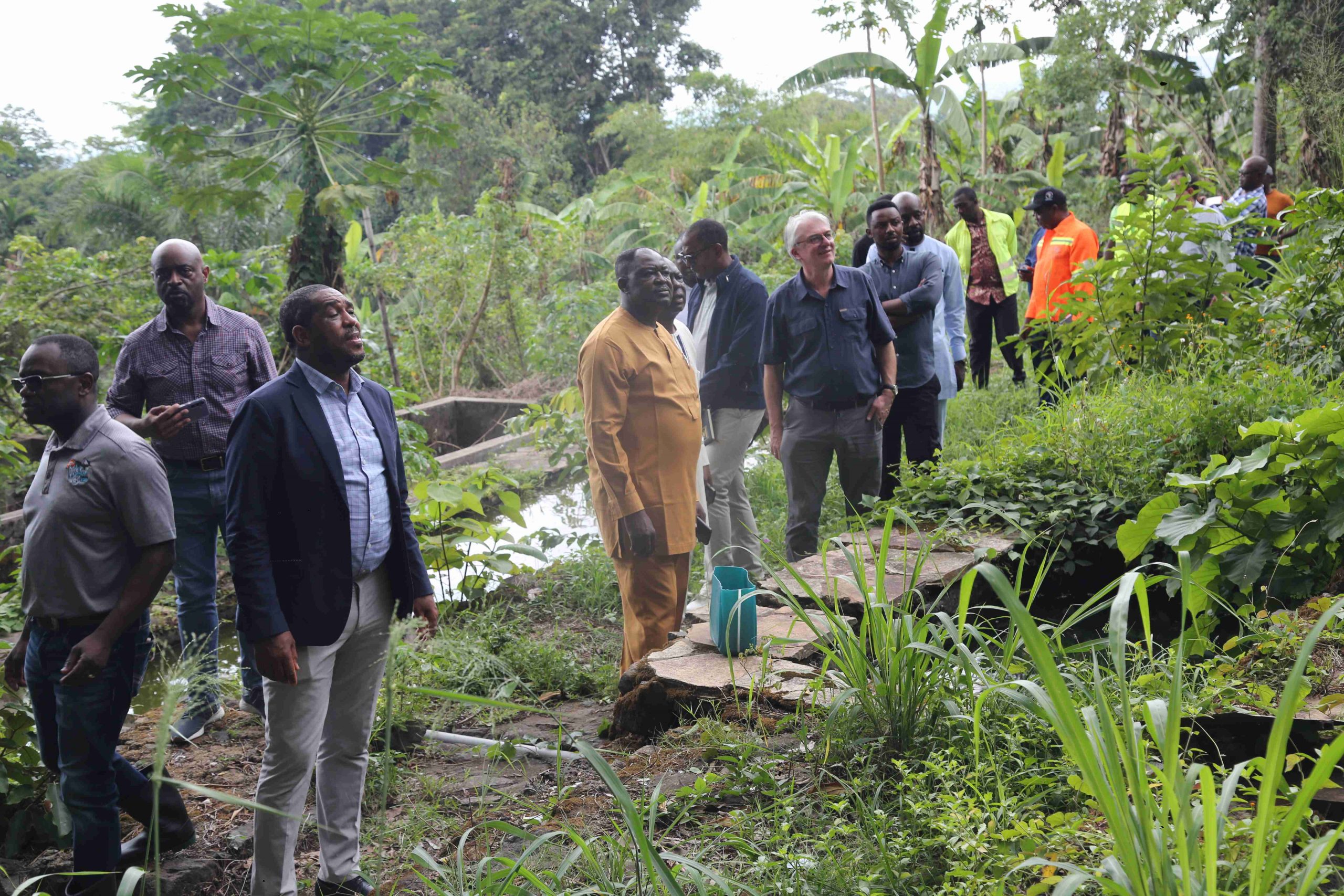 Land inspection