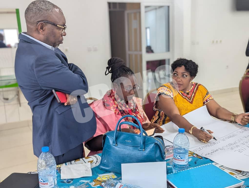 Group discussions on recomendations to address challenges on the EHC survey